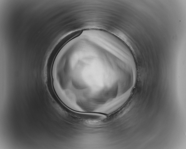 X0000088861140200707061046