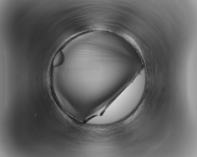 X0000088861141200707061046