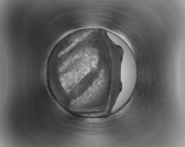 X0000088861142200707061046