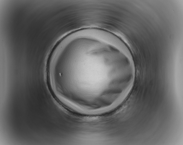 X0000088861143200707061046