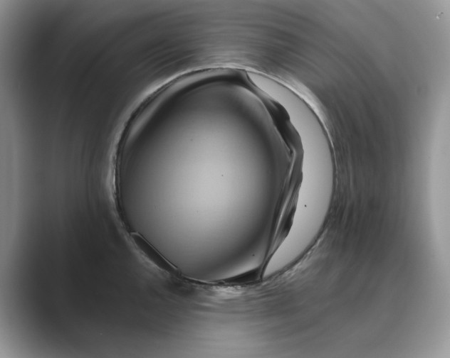 X0000088861144200707061046