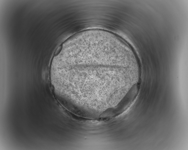 X0000088861145200707061046