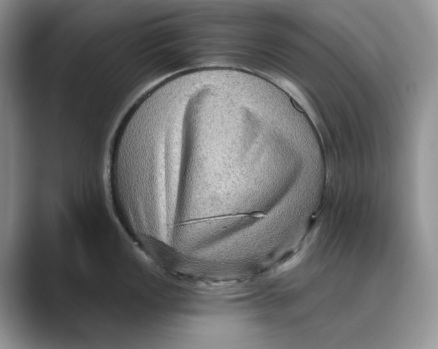 X0000088861149200707061046