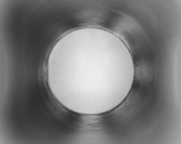 X0000088861150200707061046