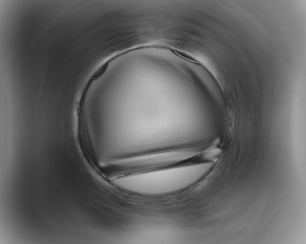 X0000088861151200707061046