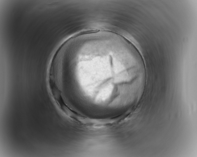 X0000088861152200707061046