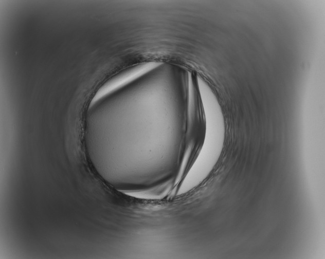 X0000088861153200707061046