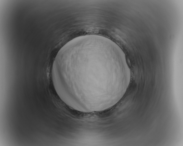 X0000088861154200707061046