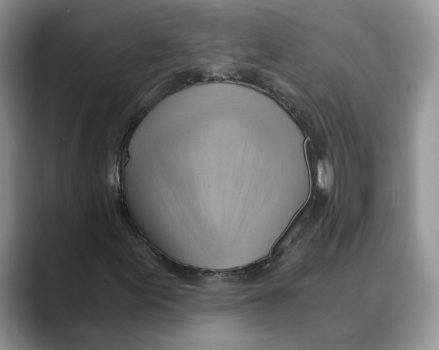 X0000088861155200707061046