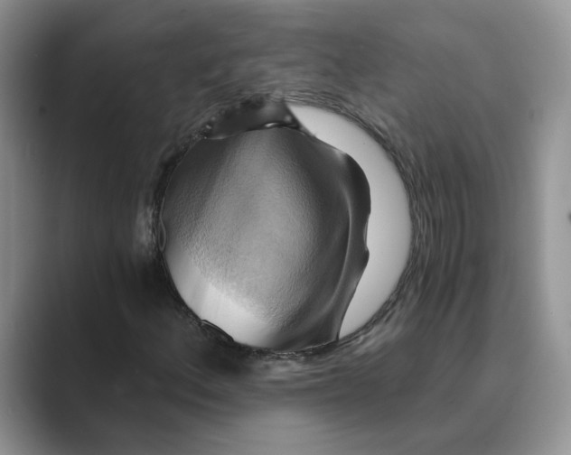 X0000088861156200707061046