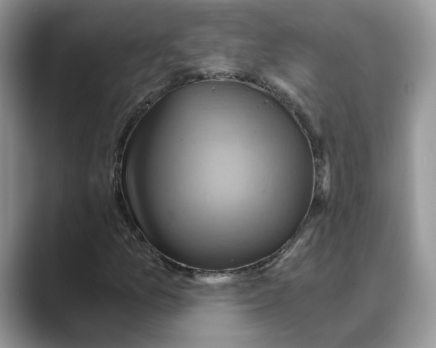 X0000088861157200707061046