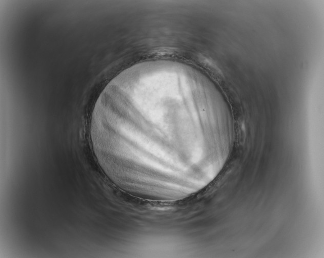 X0000088861158200707061046