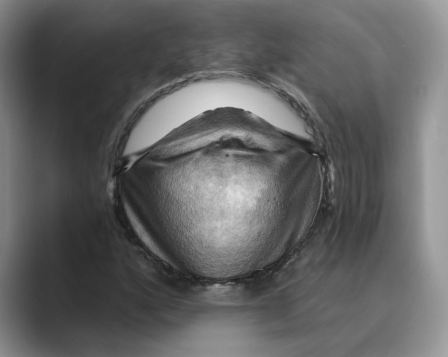 X0000088861160200707061046