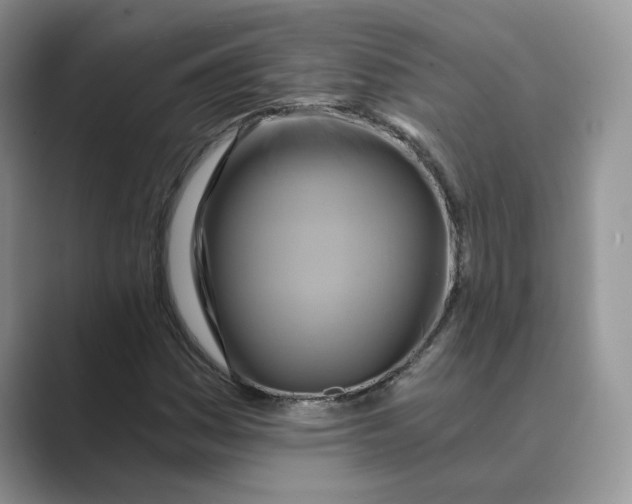 X0000088861161200707061046