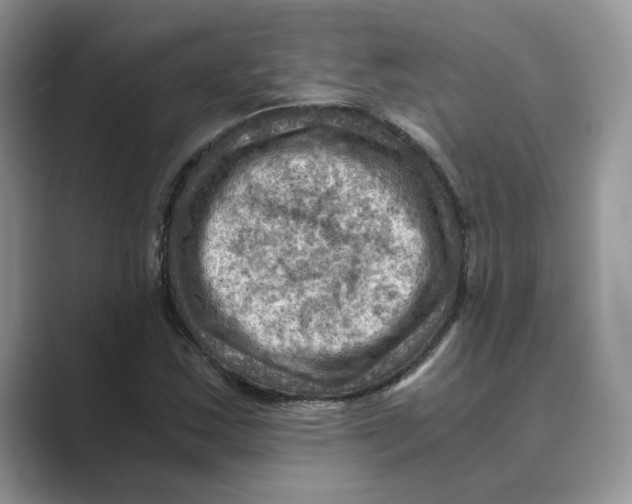 X0000088861163200707061045