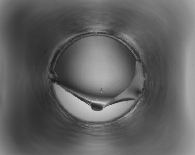 X0000088861164200707061045