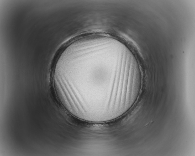 X0000088861166200707061045