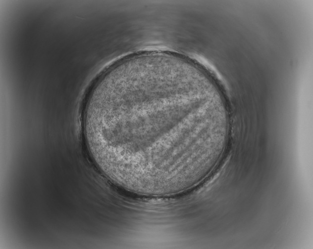 X0000088861167200707061045