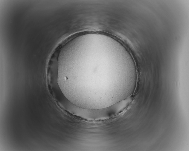 X0000088861168200707061045