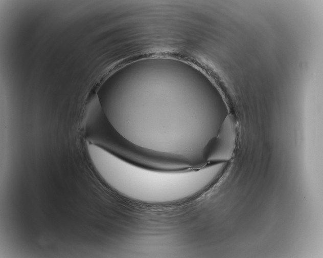 X0000088861169200707061045