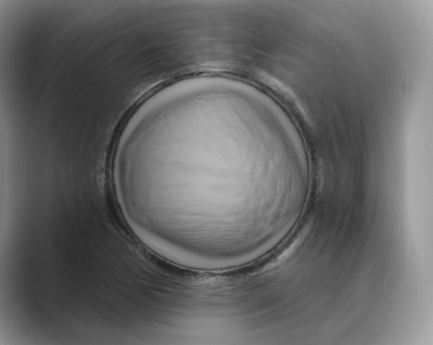 X0000088861170200707061045