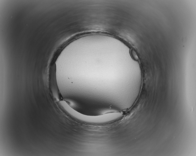 X0000088861172200707061045