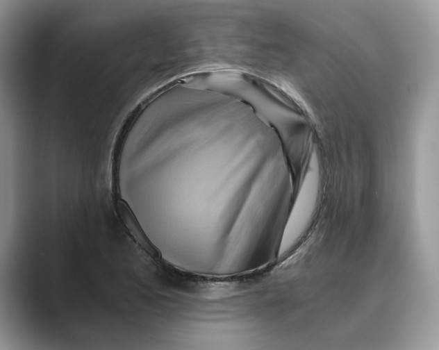 X0000088861173200707061045