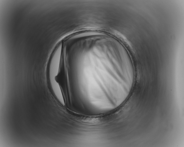 X0000088861174200707061045