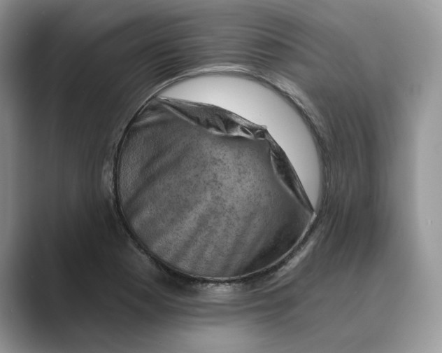 X0000088861177200707061045