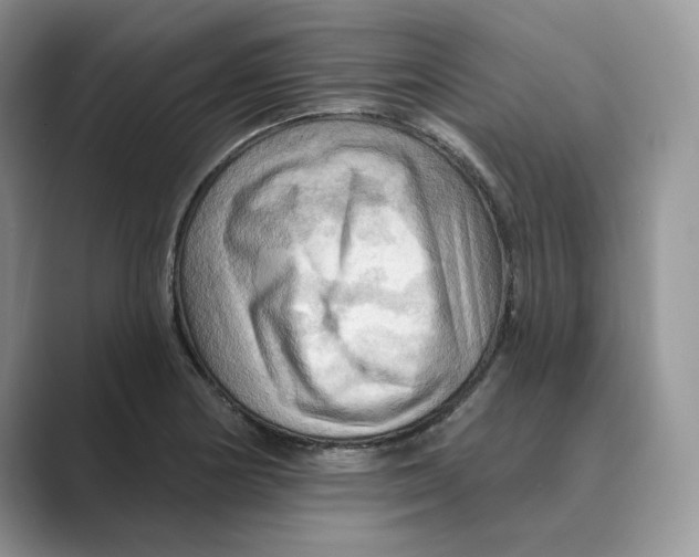 X0000088861178200707061045