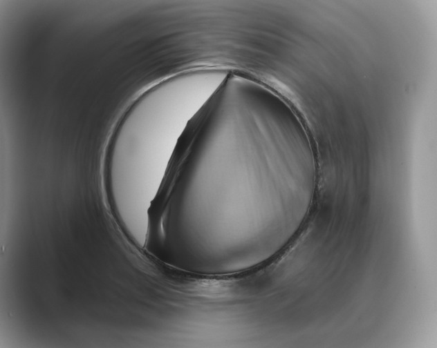 X0000088861179200707061045