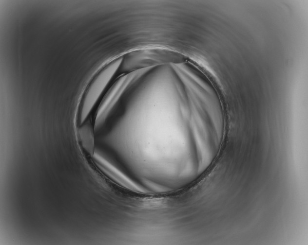 X0000088861181200707061045