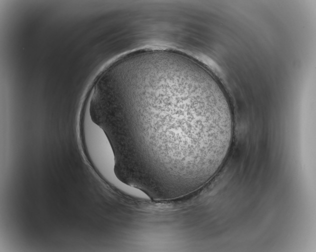 X0000088861183200707061045