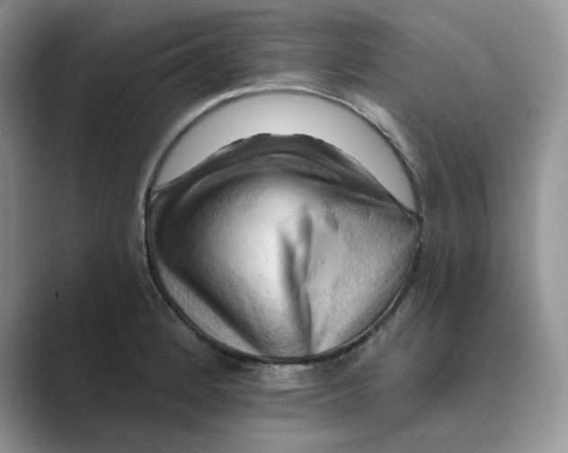 X0000088861184200707061045