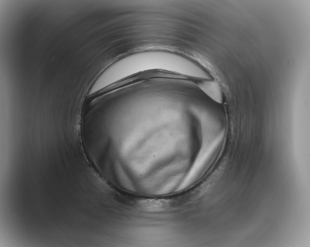 X0000088861185200707061045