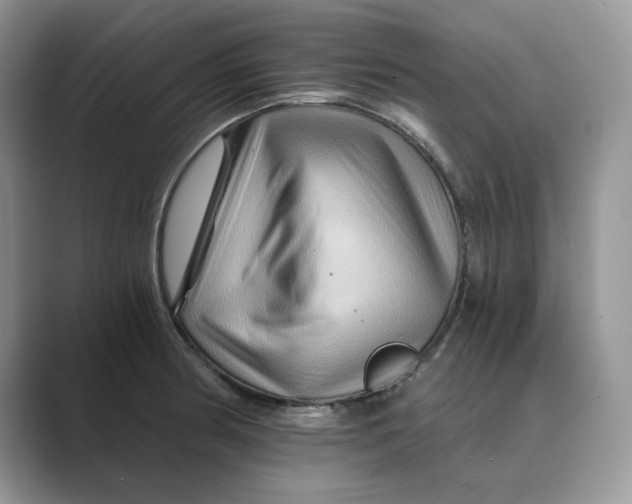 X0000088861186200707061045