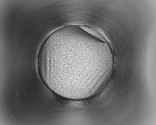 X0000088861187200707061045