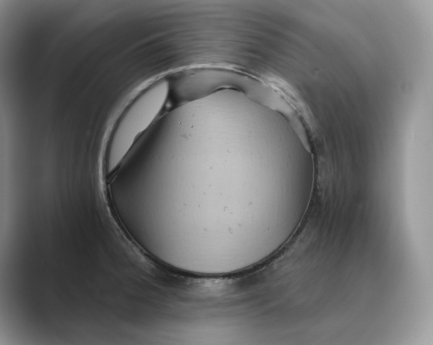 X0000088861188200707061045