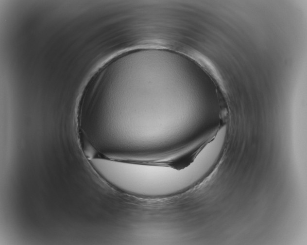 X0000088861192200707061045