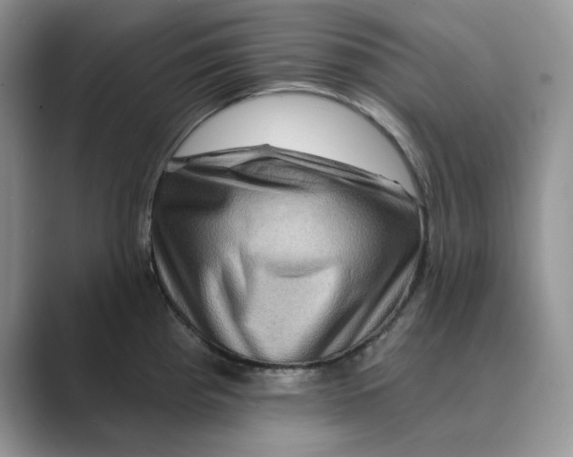 X0000088861193200707061045