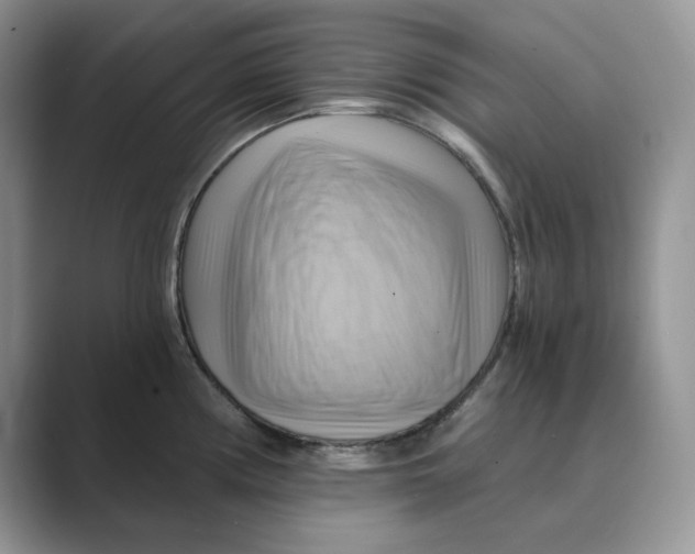 X0000088861194200707061045