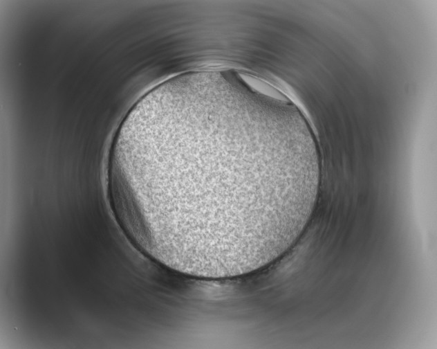 X0000088861195200707061045