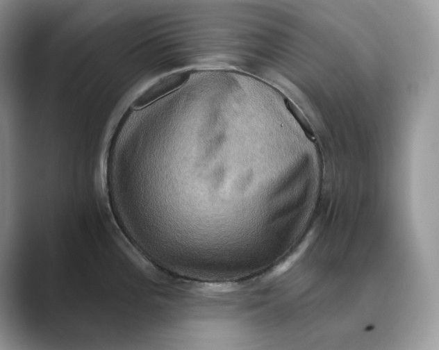 X0000088861196200707061045