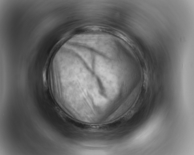 X0000088861198200707061045