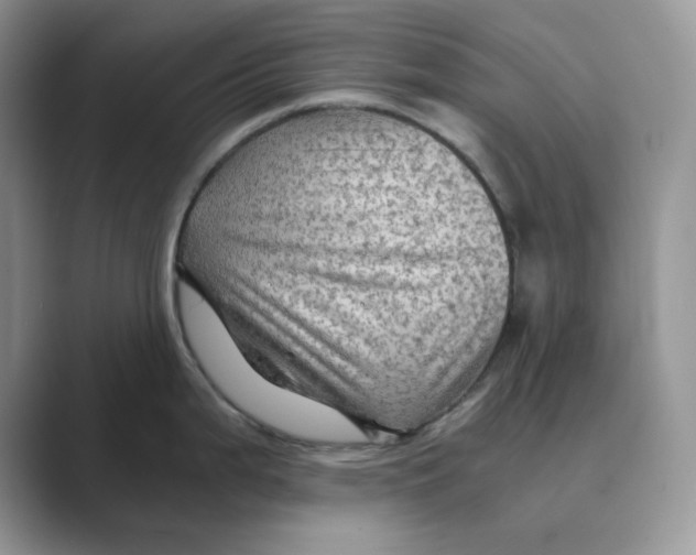 X0000088861199200707061045