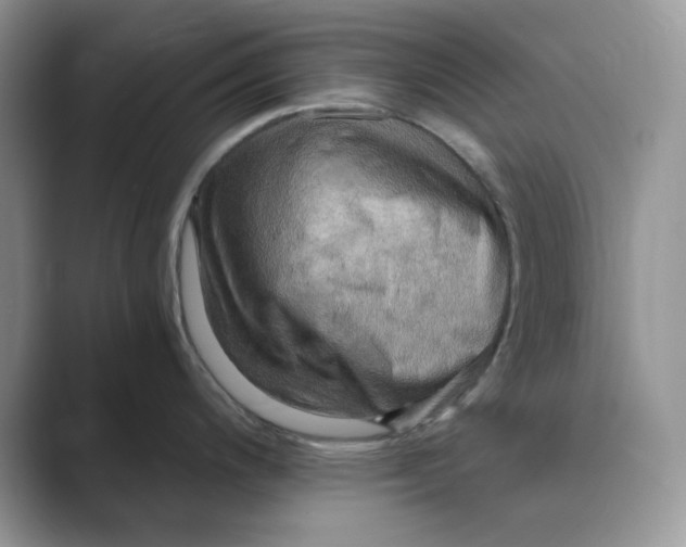 X0000088861200200707061045