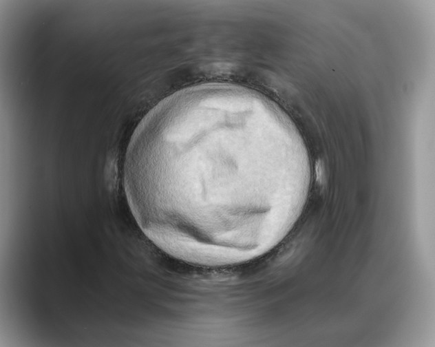 X0000088861203200707061045