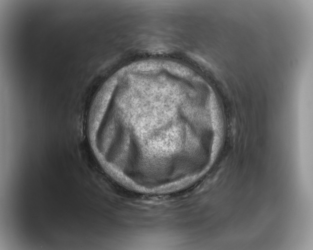 X0000088861205200707061045