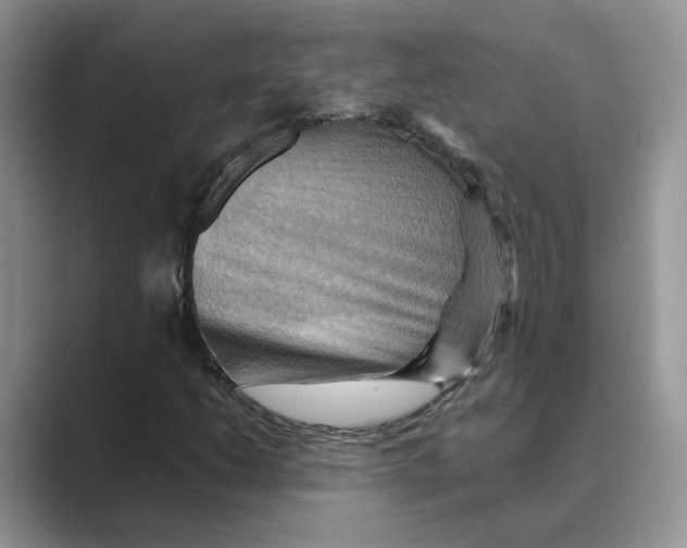 X0000088861206200707061045