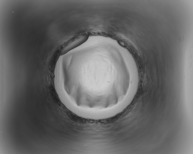 X0000088861207200707061045